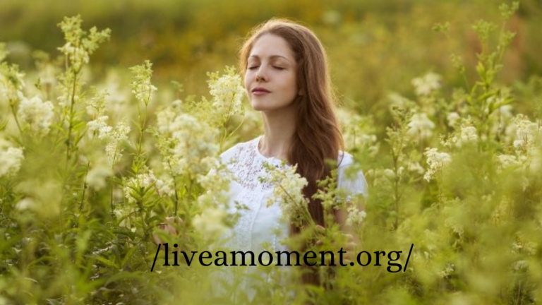 ://liveamoment.org/