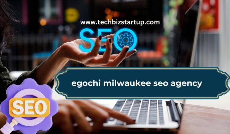 egochi milwaukee seo agency