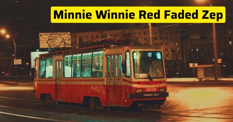 minnie winnie red faded zep